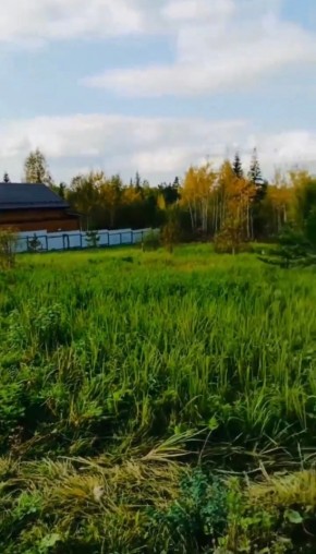 ДП Родной в Сухой лог - suhojlog.yutvil.ru