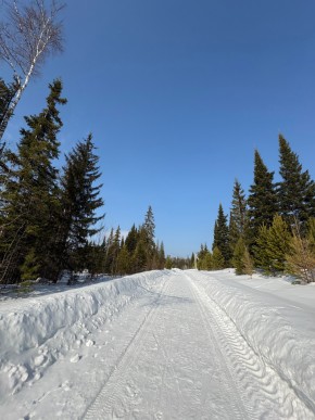 ДП Родной в Сухой лог - suhojlog.yutvil.ru - фото 7