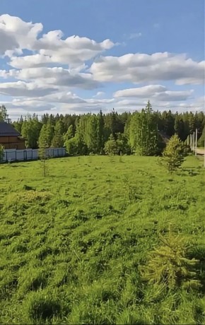 ДП Родной в Сухой лог - suhojlog.yutvil.ru - фото 4