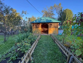 Екатеренбург сад Торгмаш, СНТ  Садовод, уч. 52 в Сухой лог - suhojlog.yutvil.ru - фото 10