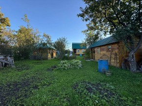 Екатеренбург сад Торгмаш, СНТ  Садовод, уч. 52 в Сухой лог - suhojlog.yutvil.ru - фото 14