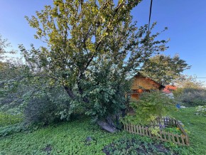 Екатеренбург сад Торгмаш, СНТ  Садовод, уч. 52 в Сухой лог - suhojlog.yutvil.ru - фото 17