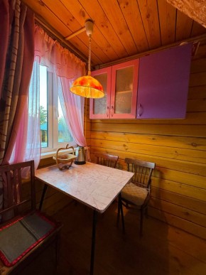 Екатеренбург сад Торгмаш, СНТ  Садовод, уч. 52 в Сухой лог - suhojlog.yutvil.ru - фото 4