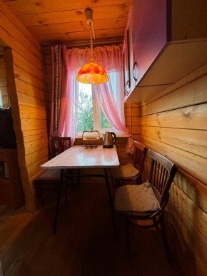 Екатеренбург сад Торгмаш, СНТ  Садовод, уч. 52 в Сухой лог - suhojlog.yutvil.ru - фото 5