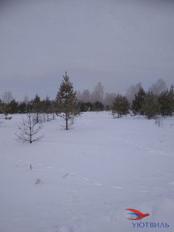 Земельный участок поселок Баженово в Сухой лог - suhojlog.yutvil.ru - фото 5