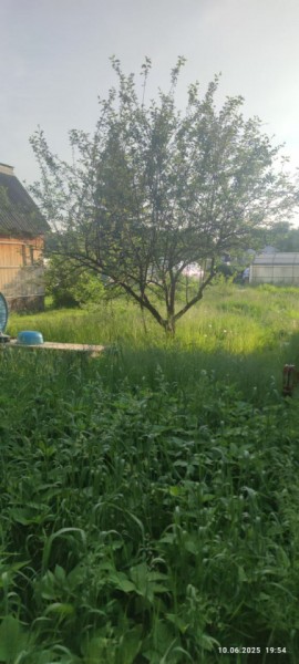 г Верхняя пышма, СНТ Мираж, уч.№ 99 в Сухой лог - suhojlog.yutvil.ru - фото 19