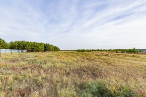 Российская Федерация, Свердловская область, Сысертский городской округ, территория садоводческого некоммерческого товарищества Бобровские дачи, улица Каштановая, земельный участок № 38 в Сухой лог - suhojlog.yutvil.ru - фото 16