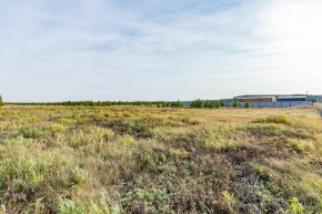 Российская Федерация, Свердловская область, Сысертский городской округ, территория садоводческого некоммерческого товарищества Бобровские дачи, улица Каштановая, земельный участок № 38 в Сухой лог - suhojlog.yutvil.ru - фото 24