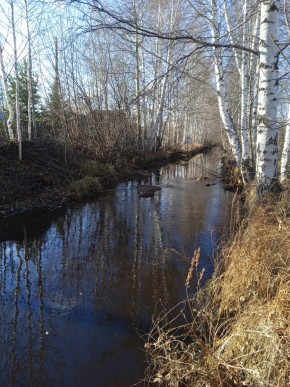 СНТ Берёзка в Сухой лог - suhojlog.yutvil.ru - фото 14