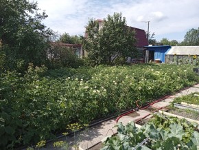 СНТ Медик-2 в Сухой лог - suhojlog.yutvil.ru - фото 6