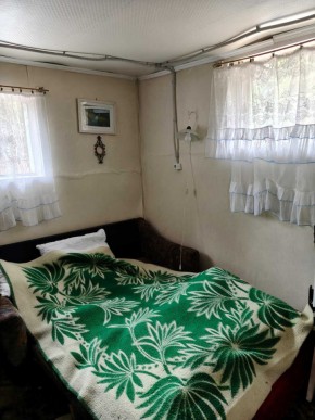 СНТ Родники в Сухой лог - suhojlog.yutvil.ru - фото 10 СНТ Родники в Сухой лог - suhojlog.yutvil.ru - фото 10