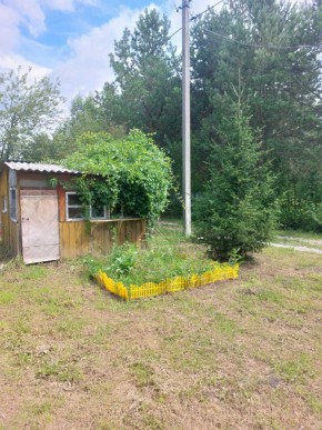 СНТ Родники в Сухой лог - suhojlog.yutvil.ru - фото 2 СНТ Родники в Сухой лог - suhojlog.yutvil.ru - фото 2