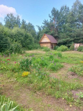 СНТ Родники в Сухой лог - suhojlog.yutvil.ru - фото 3 СНТ Родники в Сухой лог - suhojlog.yutvil.ru - фото 3