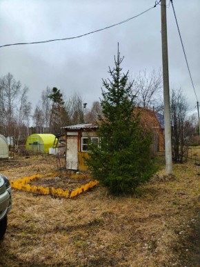 СНТ Родники в Сухой лог - suhojlog.yutvil.ru - фото 5 СНТ Родники в Сухой лог - suhojlog.yutvil.ru - фото 5