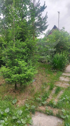 СНТ Садовод-24 в Сухой лог - suhojlog.yutvil.ru - фото 15