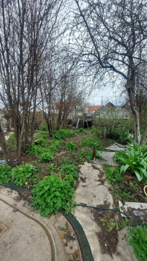 СНТ Сирень, уч. 38 в Сухой лог - suhojlog.yutvil.ru - фото 7