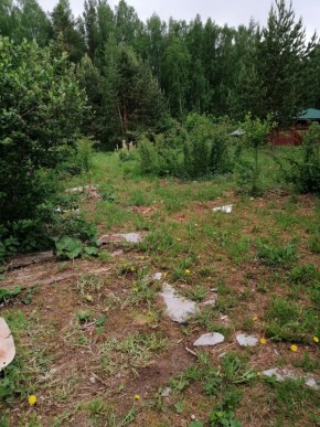 СТН Семья №112, Верхняя пышма на землях бывшего подсобного хозяйтва верхнепышминского опытного завода в Сухой лог - suhojlog.yutvil.ru - фото 17 СТН Семья №112, Верхняя пышма на землях бывшего подсобного хозяйтва верхнепышминского опытного завода в Сухой лог - suhojlog.yutvil.ru - фото 17