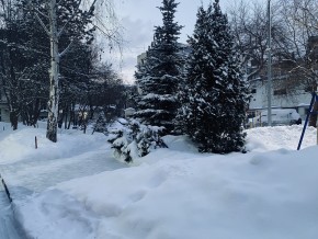 ул. 8 Марта,7 в Сухой лог - suhojlog.yutvil.ru - фото 20