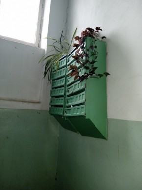 ул. Бажова,11 в Сухой лог - suhojlog.yutvil.ru - фото 2