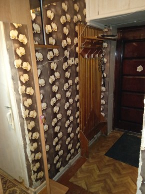 ул. Бажова,11 в Сухой лог - suhojlog.yutvil.ru - фото 9