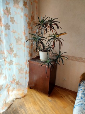 ул. Индустрии,29 в Сухой лог - suhojlog.yutvil.ru - фото 4 ул. Индустрии,29 в Сухой лог - suhojlog.yutvil.ru - фото 4