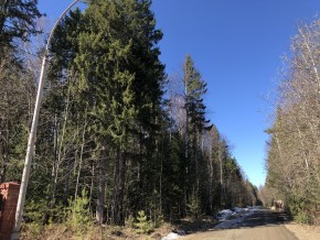 ул. Калиновая,9 в Сухой лог - suhojlog.yutvil.ru - фото 4 ул. Калиновая,9 в Сухой лог - suhojlog.yutvil.ru - фото 4