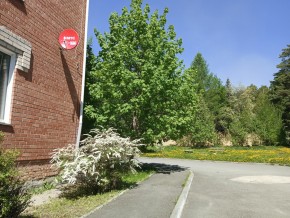 ул. Сосновая, 8 в Сухой лог - suhojlog.yutvil.ru - фото 25