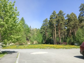 ул. Сосновая, 8 в Сухой лог - suhojlog.yutvil.ru - фото 26