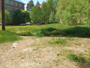 ул. Сосновая, 8 в Сухой лог - suhojlog.yutvil.ru - фото 33