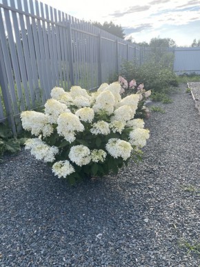 ул. Весенняя,12 в Сухой лог - suhojlog.yutvil.ru - фото 20